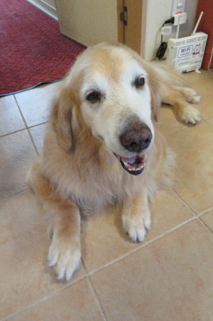 ファイル 6382-5.jpg