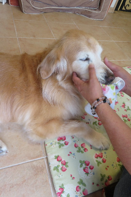 ファイル 6383-5.jpg