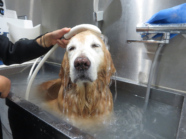 ファイル 6385-5.jpg