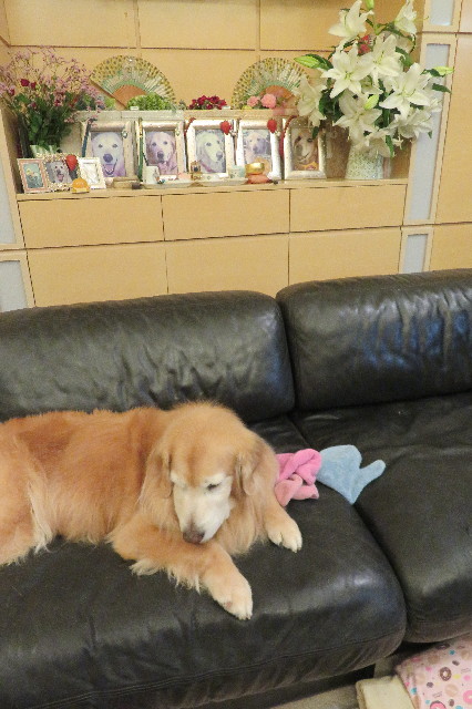 ファイル 6387-3.jpg