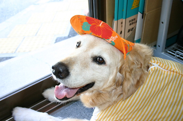 ファイル 6388-2.jpg