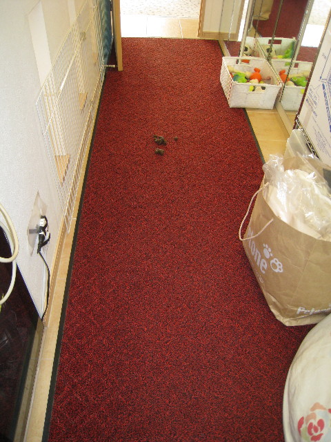 ファイル 639-1.jpg