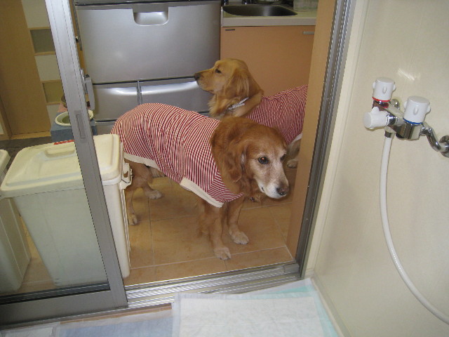 ファイル 639-3.jpg