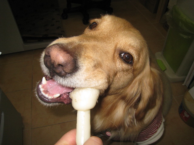 ファイル 639-4.jpg