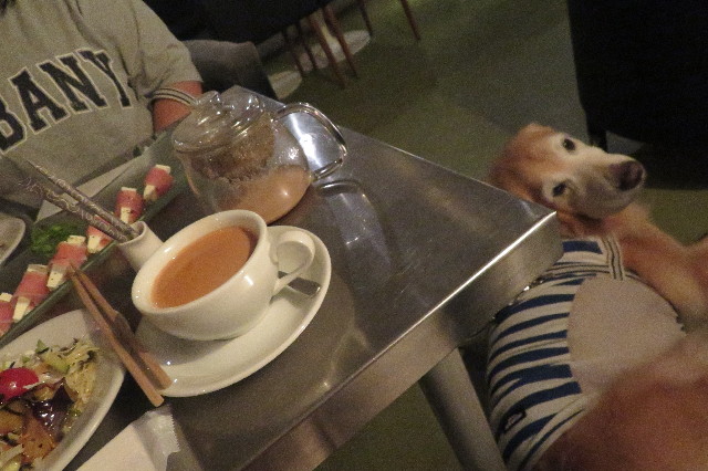 ファイル 6390-1.jpg