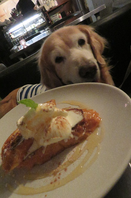 ファイル 6390-2.jpg