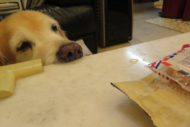 ファイル 6390-4.jpg