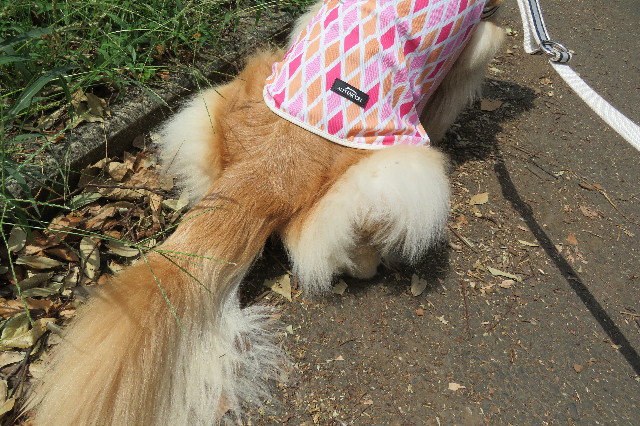 ファイル 6391-3.jpg