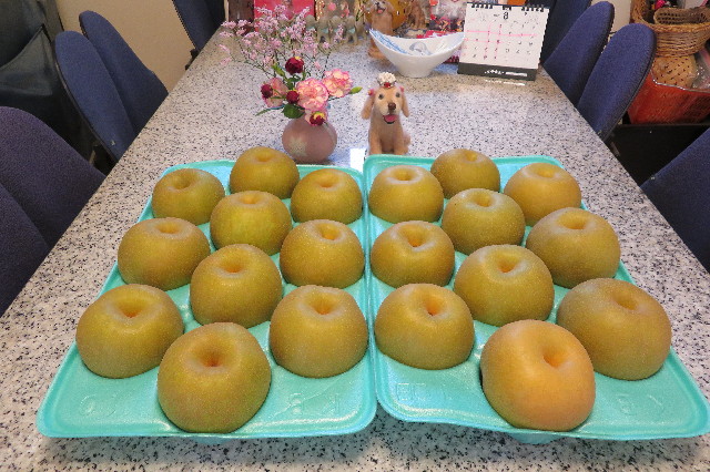 ファイル 6392-1.jpg