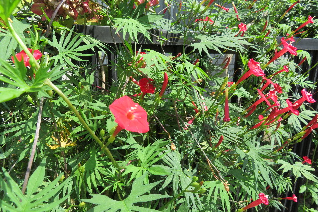 ファイル 6393-5.jpg