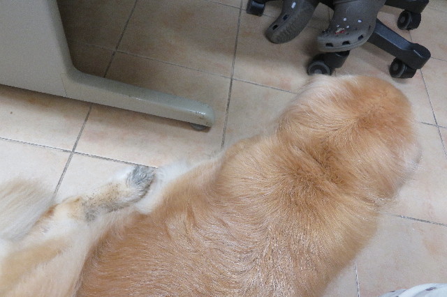 ファイル 6394-3.jpg