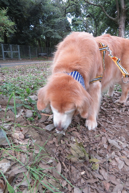 ファイル 6394-5.jpg