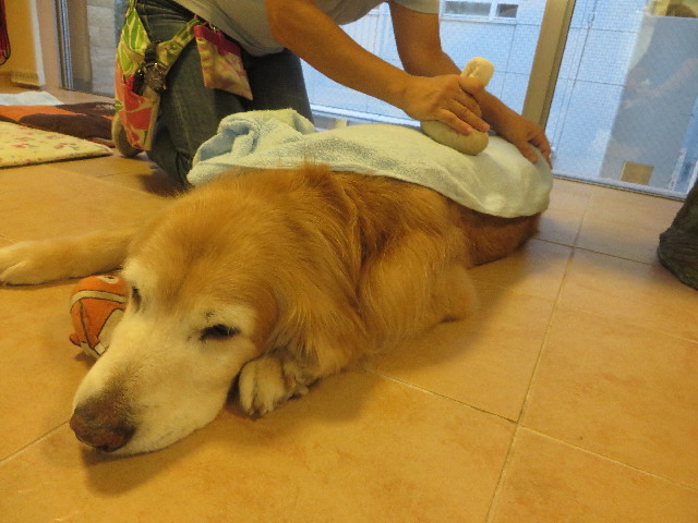 ファイル 6396-2.jpg