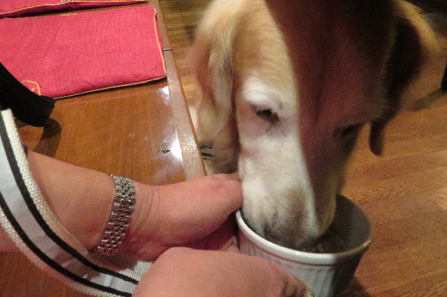 ファイル 6397-5.jpg