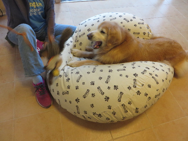 ファイル 6398-2.jpg