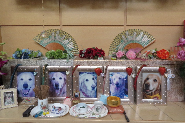 ファイル 6399-1.jpg