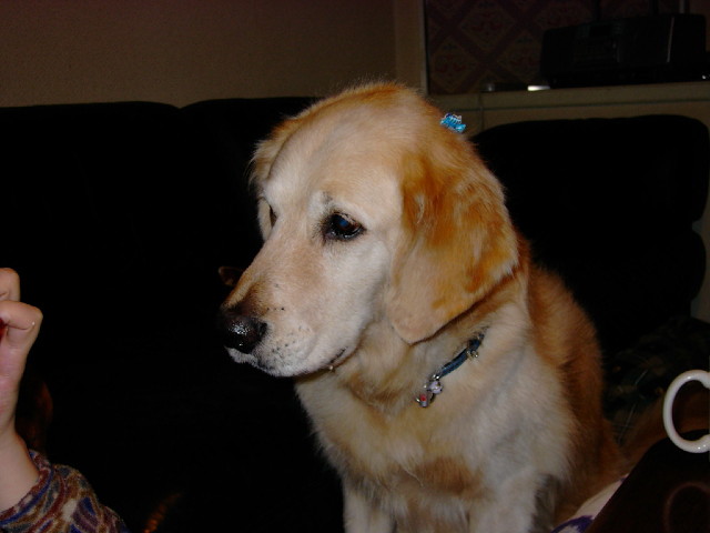 ファイル 640-1.jpg