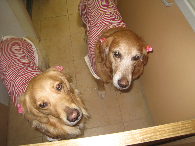 ファイル 640-5.jpg