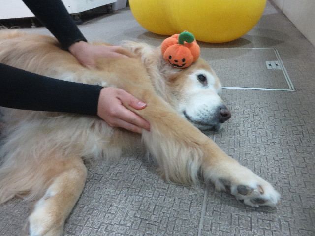 ファイル 6400-1.jpg