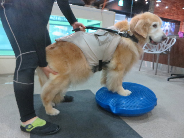 ファイル 6400-2.jpg