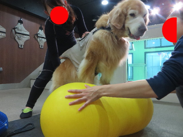 ファイル 6400-3.jpg