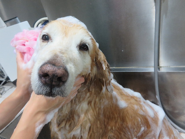 ファイル 6400-5.jpg