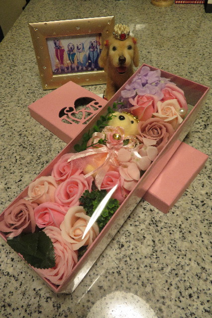 ファイル 6402-1.jpg