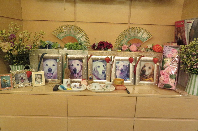 ファイル 6402-2.jpg