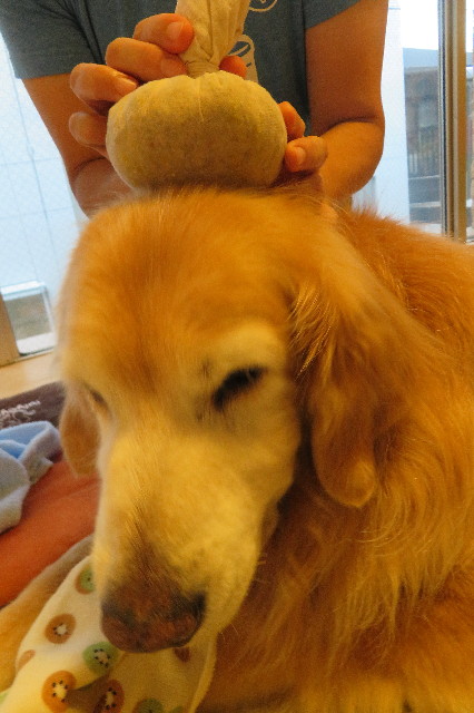 ファイル 6402-3.jpg