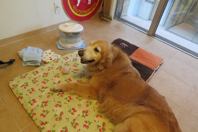 ファイル 6402-5.jpg