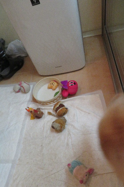 ファイル 6403-1.jpg