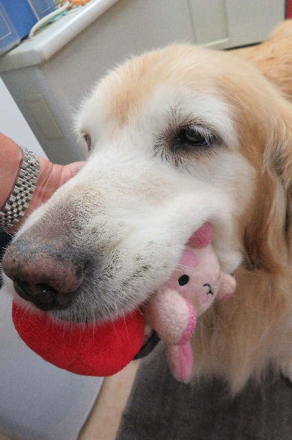 ファイル 6403-2.jpg