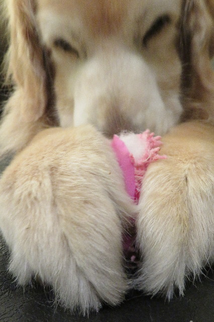 ファイル 6403-5.jpg