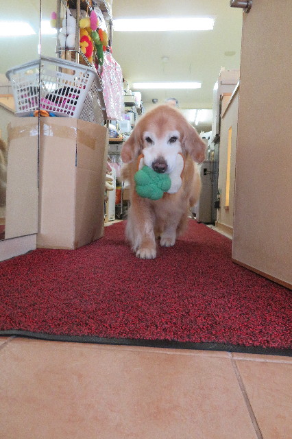 ファイル 6405-1.jpg