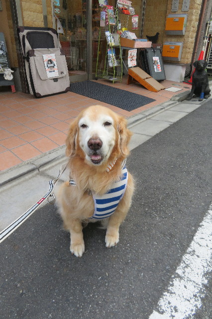 ファイル 6405-3.jpg