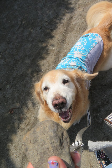 ファイル 6405-5.jpg