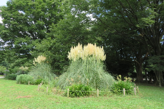 ファイル 6406-1.jpg