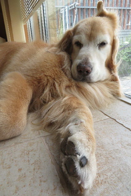 ファイル 6407-1.jpg