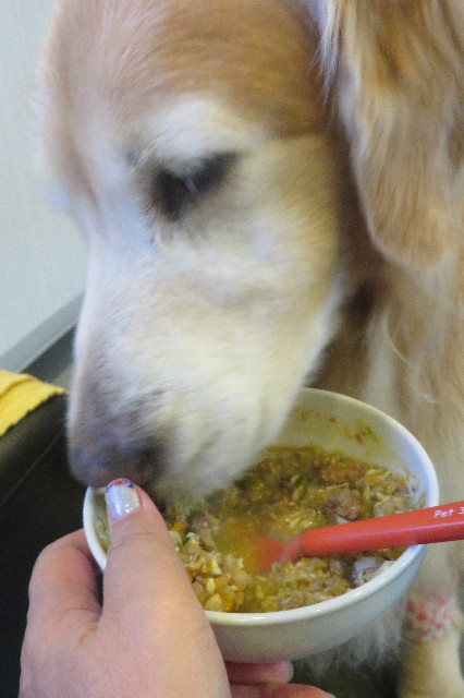 ファイル 6409-3.jpg