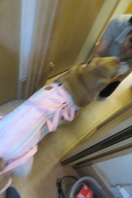 ファイル 6411-2.jpg