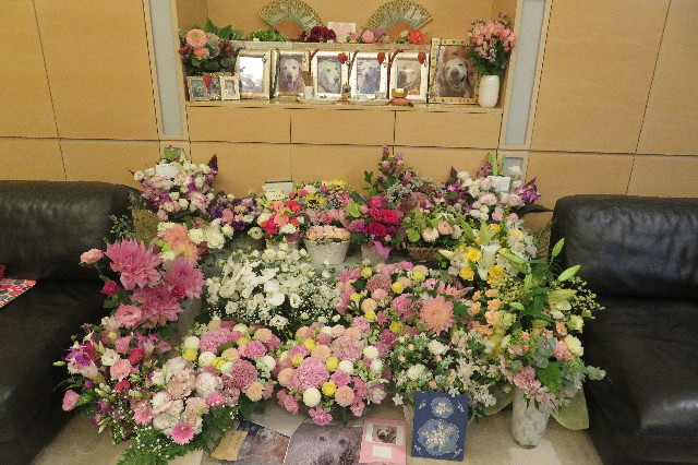 ファイル 6415-3.jpg