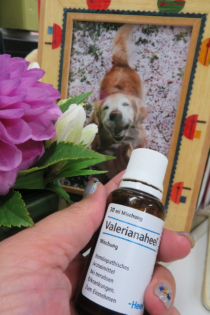 ファイル 6416-1.jpg