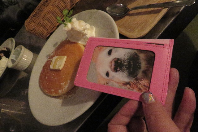 ファイル 6416-3.jpg