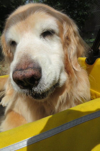 ファイル 6420-4.jpg