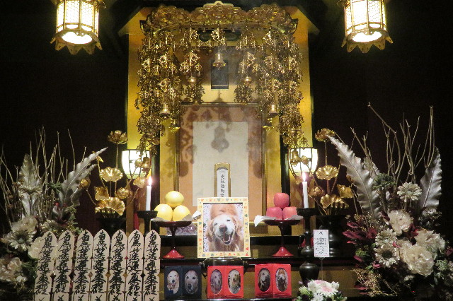 ファイル 6421-3.jpg