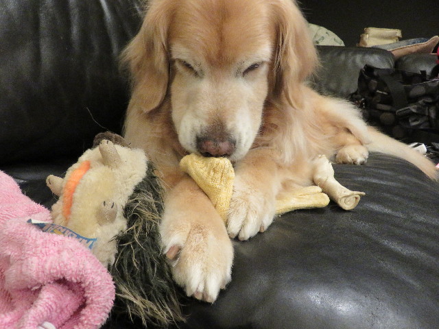 ファイル 6424-1.jpg