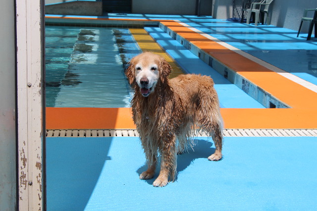 ファイル 6424-4.jpg