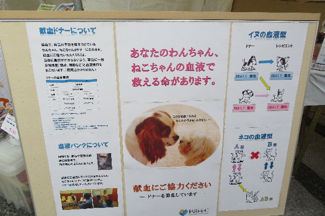 ファイル 6425-4.jpg