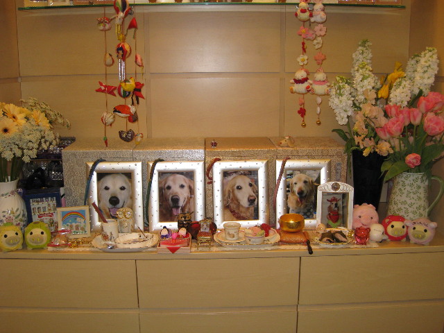 ファイル 643-1.jpg