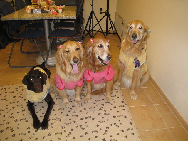 ファイル 643-2.jpg